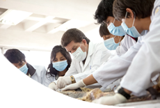 DE INVESTIGACIÓN EN BIOMEDICINA